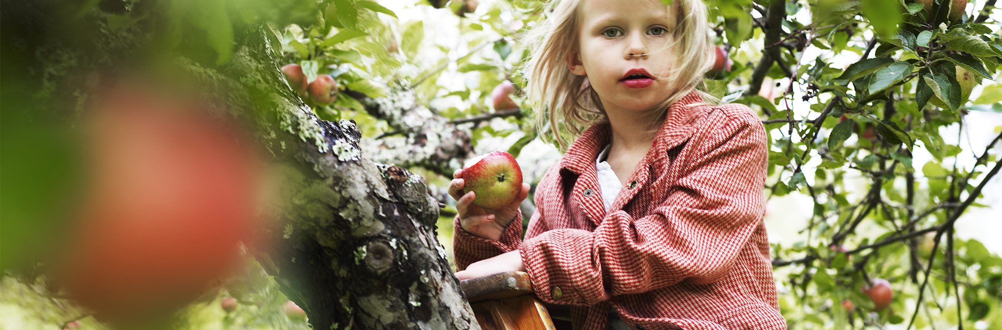 Pom'Potes : des gourdes 100% recyclables d'ici 2 ans - Faire Savoir Faire